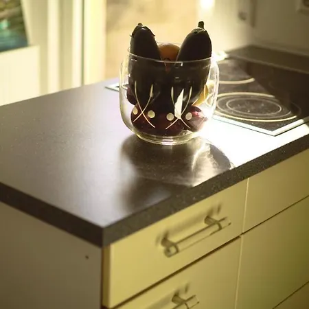 Tatil Evi Sehr Beliebt! Zur Donau