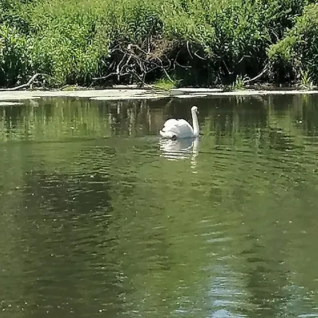 Vakantiehuis Sehr Beliebt! Zur Donau *