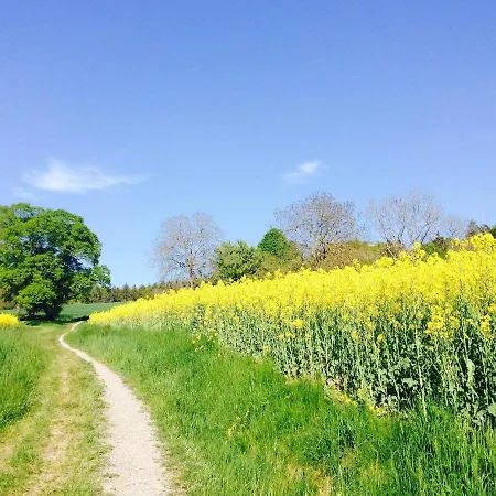 Sehr Beliebt! Zur Donau