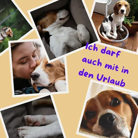 Sehr Beliebt! Zur Donau 度假居